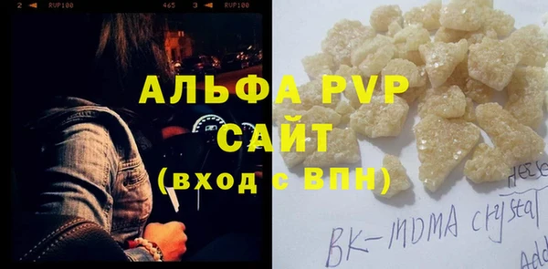 индика Гусь-Хрустальный