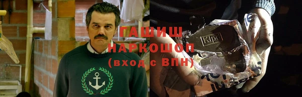 индика Гусь-Хрустальный