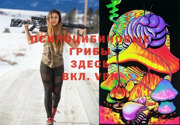 Альфа ПВП Горняк