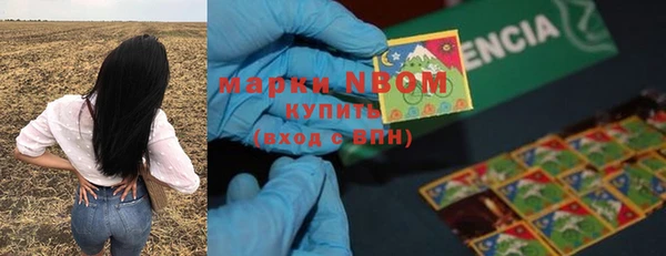 Альфа ПВП Горняк