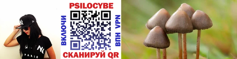 Купить закладки  Лангепас  Псилоцибиновые грибы мицелий 